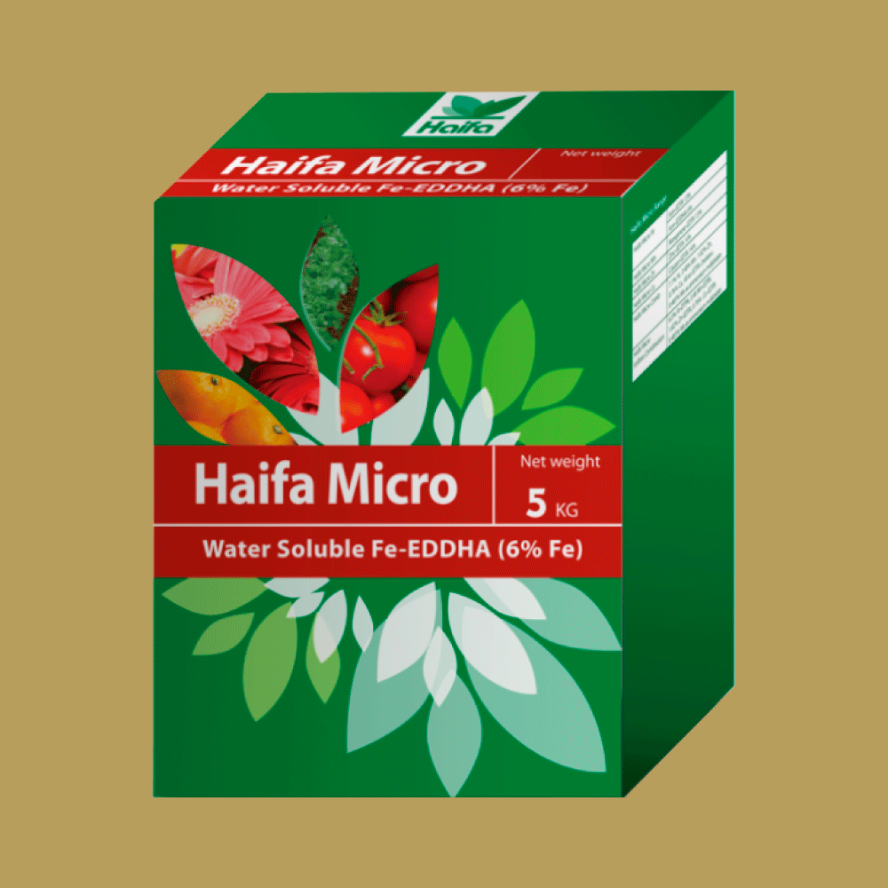 Haifa Micro Fe 6% EDDHA